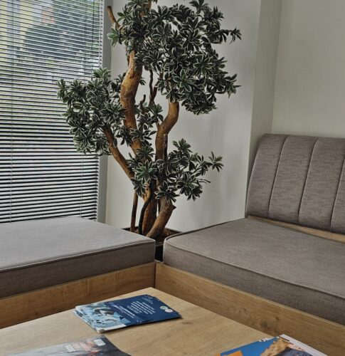 WhatsApp Image 2025-09-10 at 15.44.57